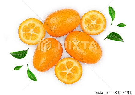 Cumquat or kumquat with half isolated on white background. Top view. Flat lay Cumquat or kumquat with half isolated on white background. Top view. Flat lay 53147491