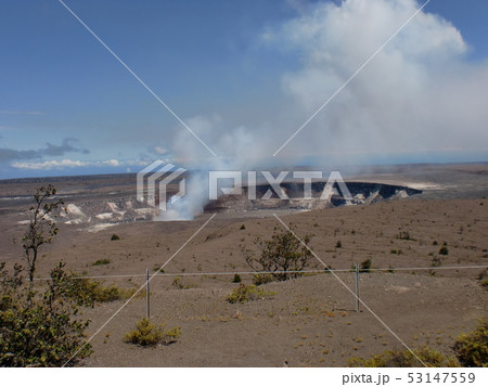 ハレマウマウ 53147559