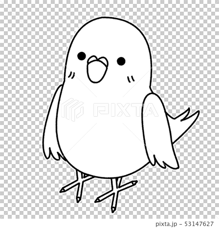 インコの白黒イラストのイラスト素材