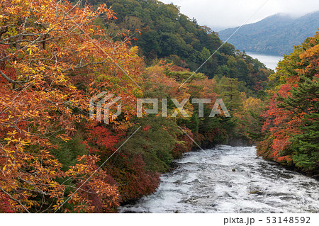 栃木県日光市　竜頭ノ滝　上部　（10月） 53148592