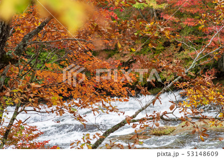 栃木県日光市　竜頭ノ滝　（10月） 53148609