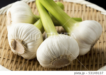 生ニンニク 生ニンニク 53149137