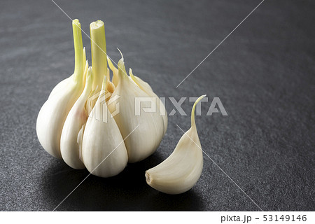 生ニンニク 53149146