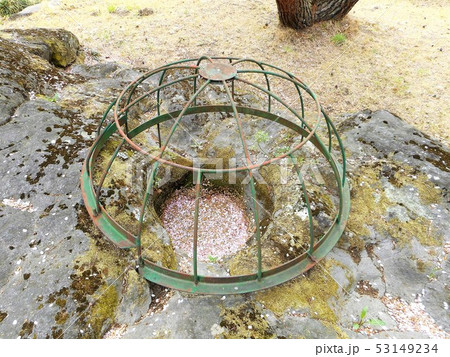 かに石の甌穴 かに石の甌穴 53149234