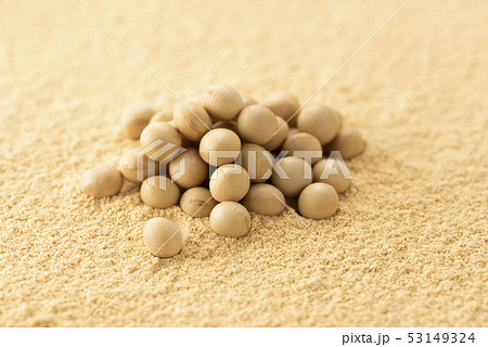 きな粉と大豆 きな粉と大豆 53149324