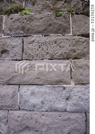 佐多岬灯台守の官舎跡地（鹿児島県肝属郡南大隅町佐多馬籠） 53150259