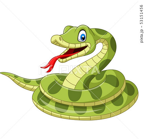 Cartoon green snake on white background - Stock Illustration [53151456] -  PIXTA