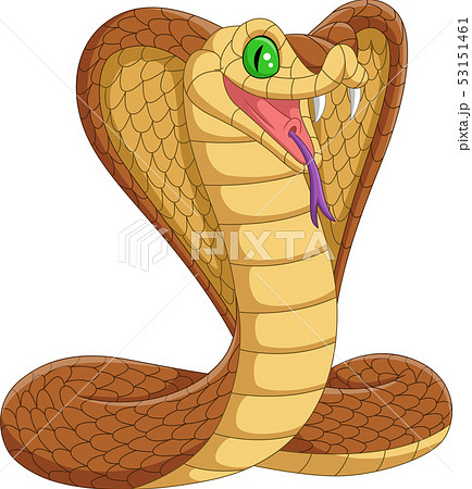 Cartoon King Cobra Snake On White Backgroundのイラスト素材