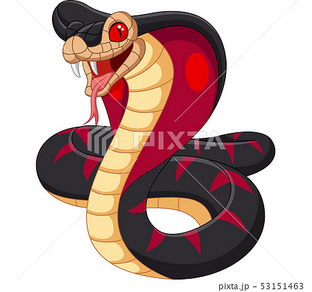 Cartoon King Cobra Snake On White Backgroundのイラスト素材
