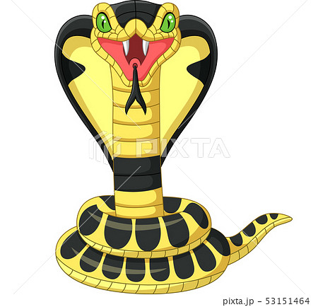 Cartoon King Cobra Snake Mascotのイラスト素材