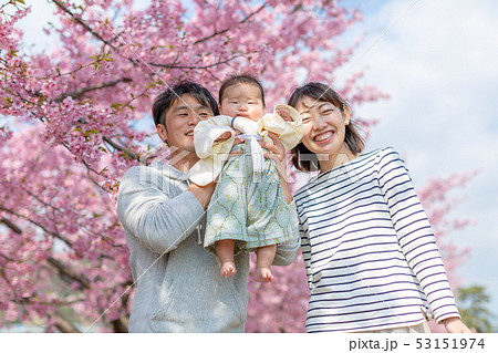 桜と家族写真 桜と家族写真 53151974