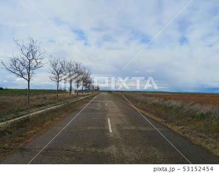 スペインの ホタテ 道 53152454