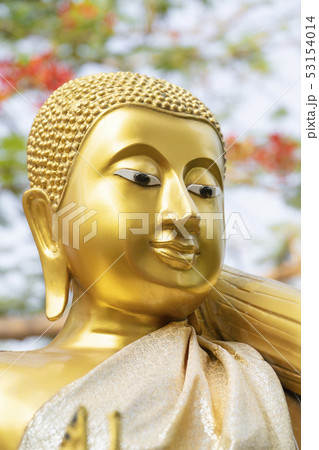 Golden Buddha statue Golden Buddha statue 53154014