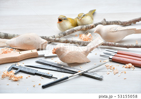 バードカービング。野鳥の木彫刻、野鳥彫刻。彩色済はウグイスです。※素人の製作途中の作品です。 バードカービング。野鳥の木彫刻、野鳥彫刻。彩色済はウグイスです。※素人の製作途中の作品です。 53155058