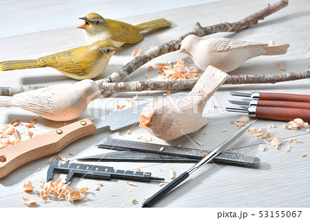 バードカービング。野鳥の木彫刻、野鳥彫刻。彩色済はウグイスです。※素人の製作途中の作品です。 バードカービング。野鳥の木彫刻、野鳥彫刻。彩色済はウグイスです。※素人の製作途中の作品です。 53155067