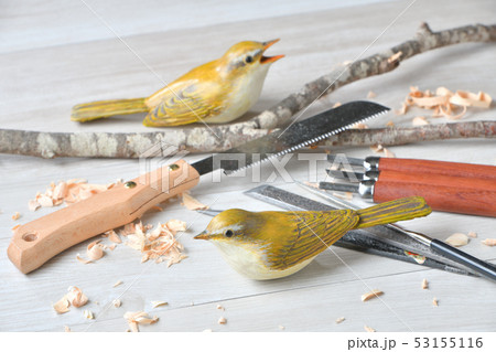 バードカービング。野鳥の木彫刻、野鳥彫刻。彩色済はウグイスです。※素人の製作途中の作品です。 バードカービング。野鳥の木彫刻、野鳥彫刻。彩色済はウグイスです。※素人の製作途中の作品です。 53155116