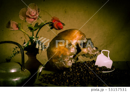 Human skull placed on coffee beans on old wood, Human skull placed on coffee beans on old wood, 53157531