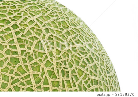 メロン (深度合成) 53159270