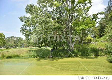 【大阪府　堺市】世界遺産・百舌鳥古墳群の孫太夫山古墳 53159740