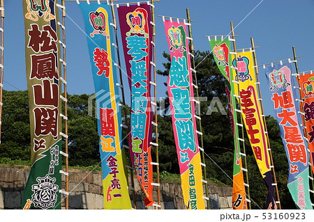 大相撲名古屋場所ののぼり 大相撲名古屋場所ののぼり 53160923