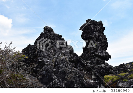 北八ヶ岳　坪庭自然園　溶岩 53160949