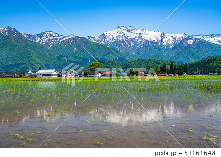 《新潟県》南魚沼の田園風景・米どころ 53161648