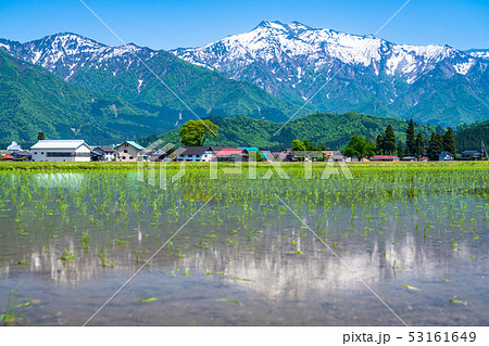 《新潟県》南魚沼の田園風景・米どころ 53161649