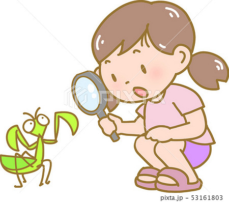 虫を観察する女の子のイラスト素材