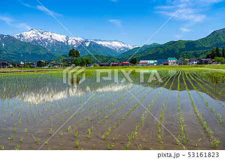 《新潟県》南魚沼の田園風景・米どころ 《新潟県》南魚沼の田園風景・米どころ 53161823