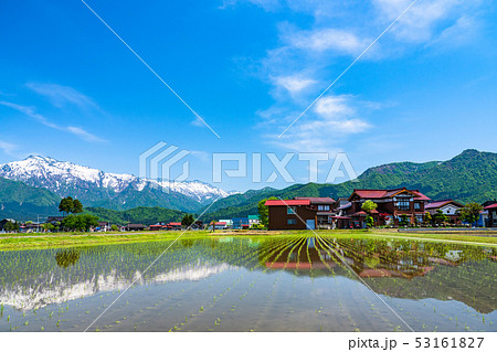 《新潟県》南魚沼の田園風景・米どころ 《新潟県》南魚沼の田園風景・米どころ 53161827