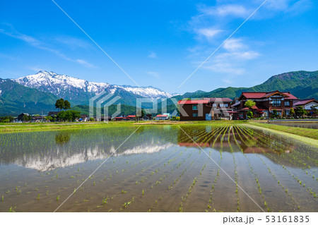 《新潟県》南魚沼の田園風景・米どころ 《新潟県》南魚沼の田園風景・米どころ 53161835