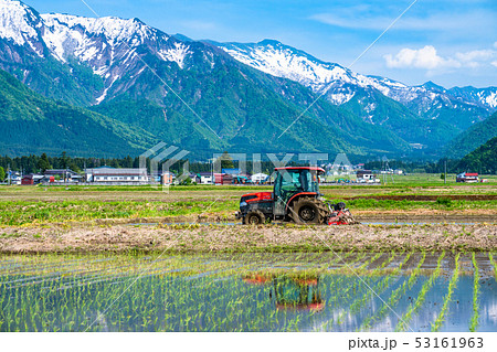 《新潟県》南魚沼の田園風景・米どころ 53161963