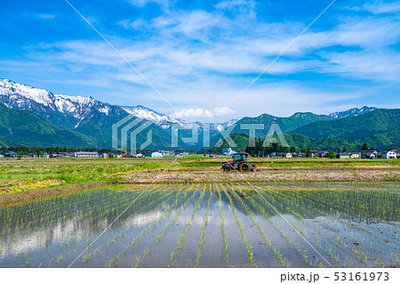 《新潟県》南魚沼の田園風景・米どころ 53161973