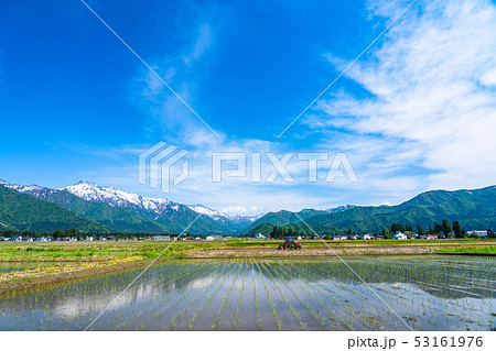《新潟県》南魚沼の田園風景・米どころ 《新潟県》南魚沼の田園風景・米どころ 53161976