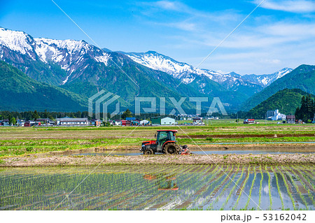 《新潟県》南魚沼の田園風景・米どころ 《新潟県》南魚沼の田園風景・米どころ 53162042