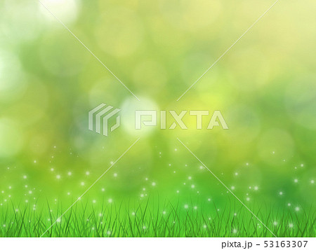 Happy summer and spring green background. Happy summer and spring green background. 53163307