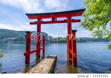 神奈川県　箱根神社　平和の鳥居 53164392