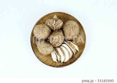 留め 乾燥 キノコ 53165095