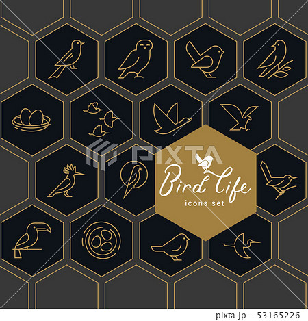 Vector icon set of icons inscribed in honeycombs on the theme of the wild life of birds. 53165226