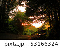 夕焼けの山道 53166324