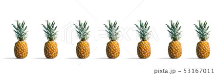 Pineapples on a solid color background Pineapples on a solid color background 53167011