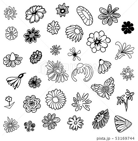 Vector Hand Drawn Sketch Of Flower Symbols のイラスト素材