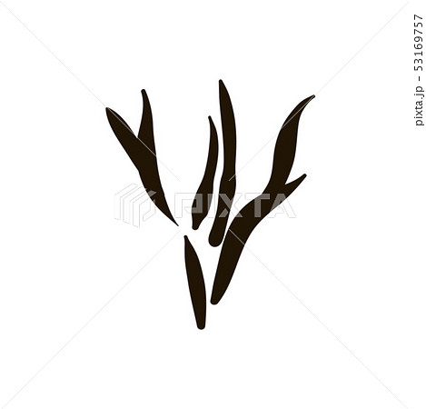 Vector woman vagina Icon illustration on white background Vector woman vagina Icon illustration on white background 53169757
