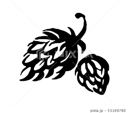 Vector Hand Drawn Hop Emblem Icon Label Logo のイラスト素材