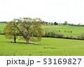 イギリスの田園風景 53169827