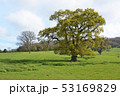 イギリスの田園風景 53169829