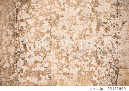 grunge wall, highly detailed textured background 53171960