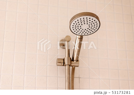 Hotel Shower Rose 53173281