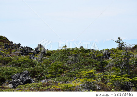 北八ヶ岳　坪庭自然園 53173465