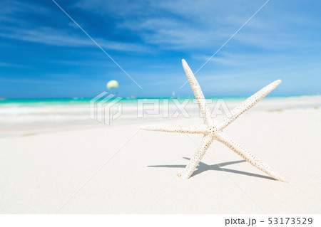 Tourism, vacation concept background 53173529